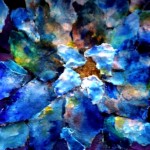 MM -Passion Flower