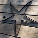 RAYS STAR 2013